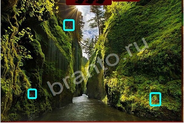 игра Птичий переполох помощь Уровень 419