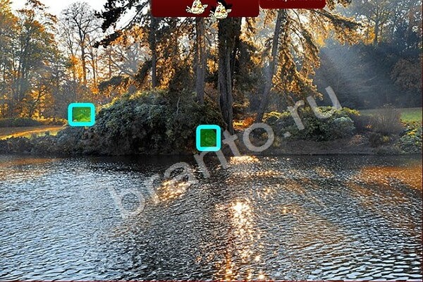 Подсказки на игру Птичий переполох Уровень 452