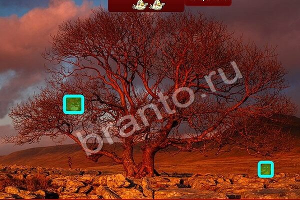 Решения на игру Птичий переполох Уровень 453