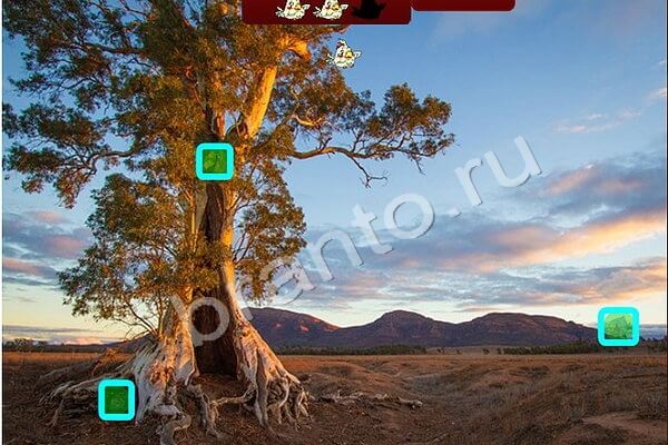 Помощь на игру ВК Птичий переполох Уровень 454