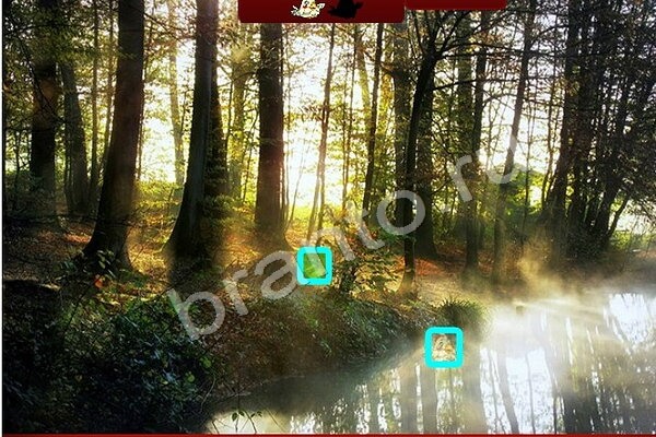 ответы к игре Птичий переполох Уровень 455