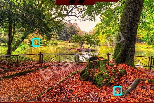 ответы на игру в одноклассниках Птичий переполох Уровень 456