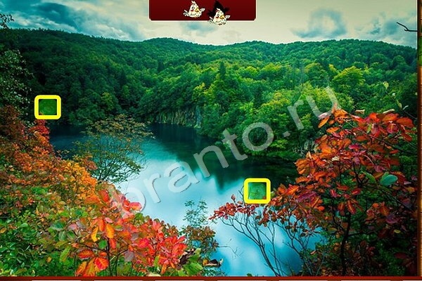 Птичий переполох игра ответы в одноклассниках Уровень 457