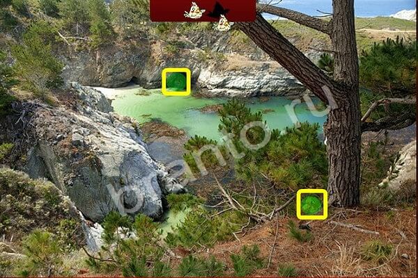 Одноклассники Птичий переполох ответы Уровень 458