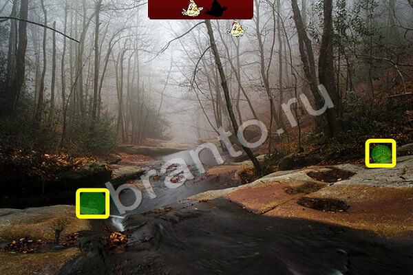 Птичий переполох подсказки в контакте Уровень 459