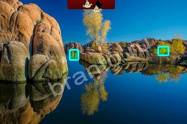 решебник на игру Птичий переполох Уровень 461