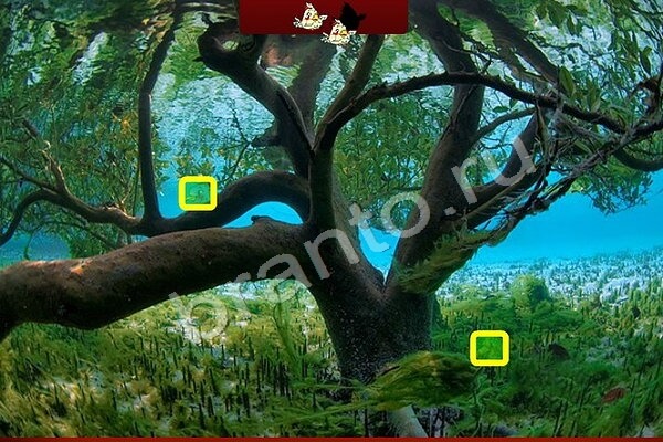 Птичий переполох решения Уровень 462