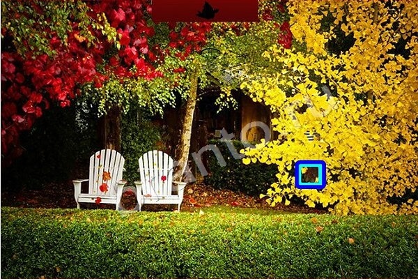 Птичий переполох игра помощь Уровень 465