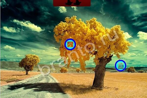 Игра Птичий переполох ответы Уровень 467