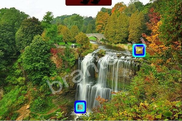 игра Птичий переполох помощь Уровень 469