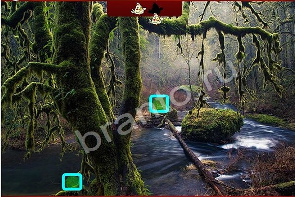 Птичий переполох игра ответы Уровень 473