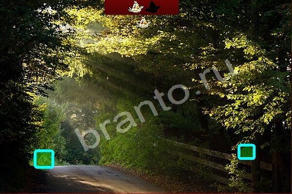 Птичий переполох игра помощь Уровень 475