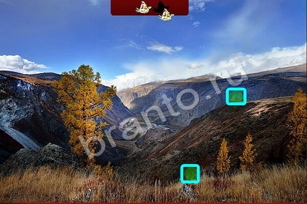 Игра Птичий переполох ответы Уровень 477