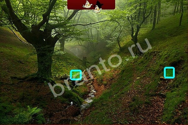 Игра Птичий переполох подсказки Уровень 478