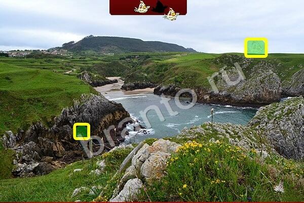 игра Птичий переполох ответ на Уровень 480