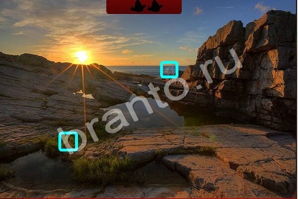 Подсказки на игру Птичий переполох Уровень 482