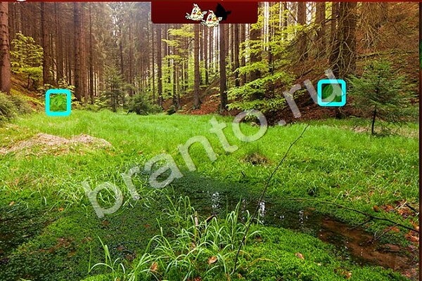 Помощь на игру ВК Птичий переполох Уровень 484