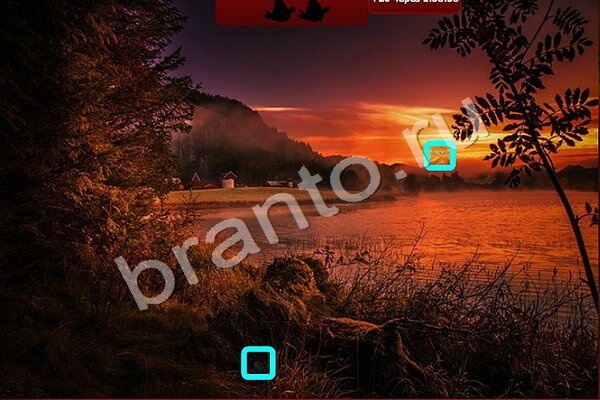 ответы на игру в одноклассниках Птичий переполох Уровень 486