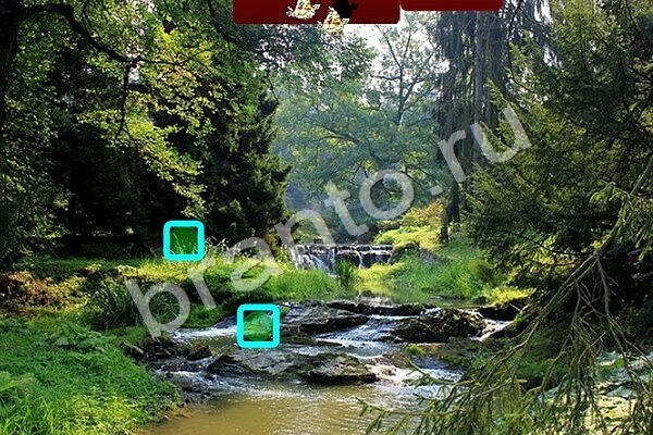 Птичий переполох игра ответы в одноклассниках Уровень 487