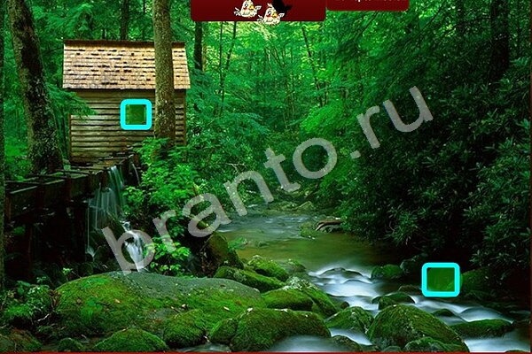 Одноклассники Птичий переполох ответы Уровень 488