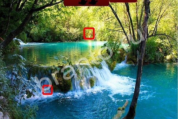 Птичий переполох подсказки в контакте Уровень 489