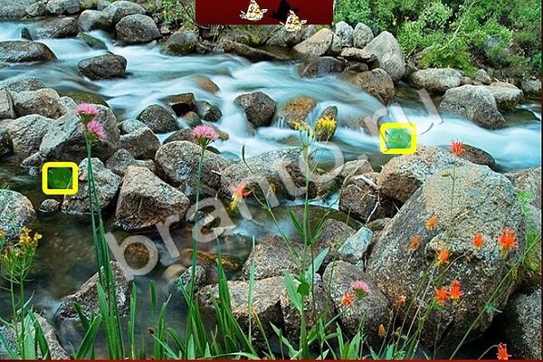 Птичий переполох игра подсказки Уровень 494