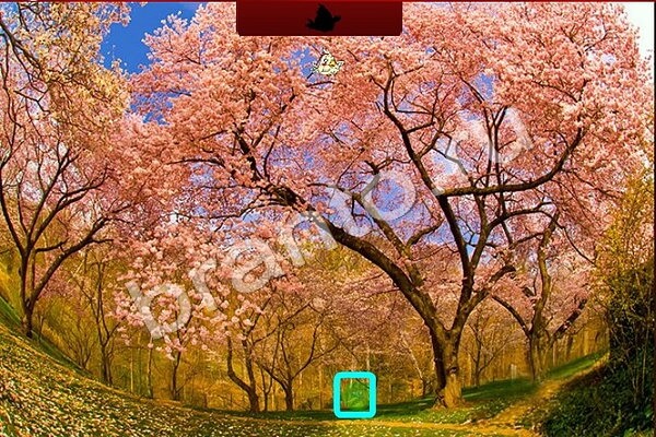 Птичий переполох игра помощь Уровень 495