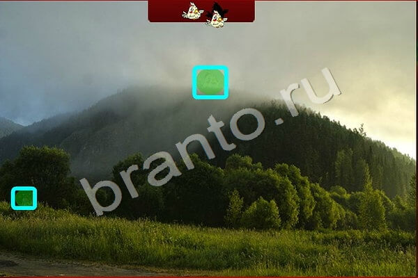 Игра Птичий переполох ответы Уровень 497