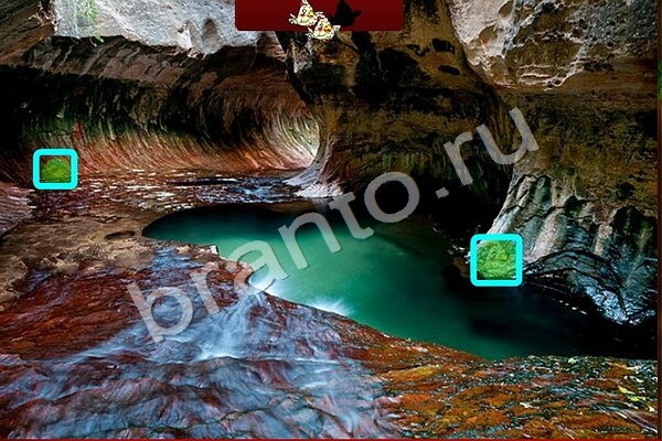 игра Птичий переполох ответ на Уровень 500