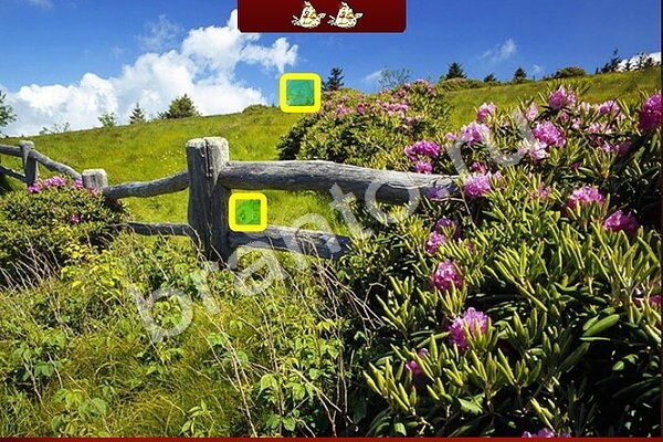 решебник на игру Птичий переполох Уровень 501