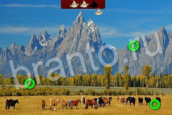 Птичий переполох решения Уровень 502