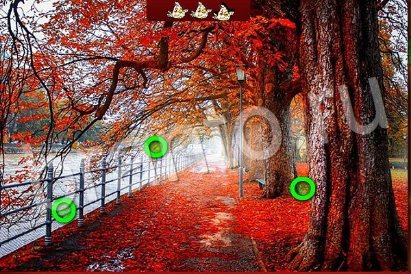 Птичий переполох игра помощь Уровень 505