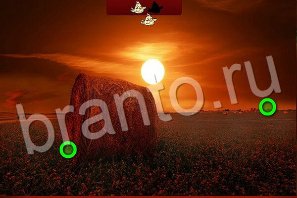 Игра Птичий переполох ответы Уровень 507