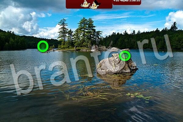 Игра Птичий переполох подсказки Уровень 508