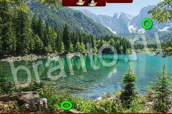 ответы на игру Птичий переполох в одноклассниках Уровень 511