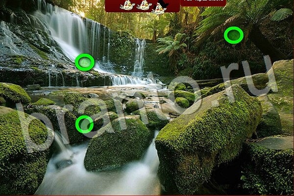 Подсказки на игру Птичий переполох Уровень 512