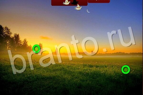 Решения на игру Птичий переполох Уровень 513