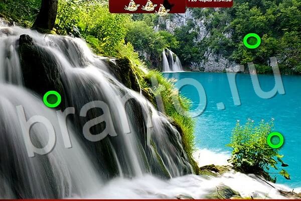 Помощь на игру ВК Птичий переполох Уровень 514