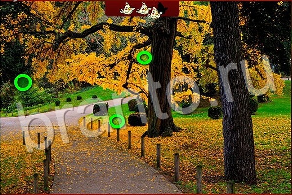 ответы на игру в одноклассниках Птичий переполох Уровень 516