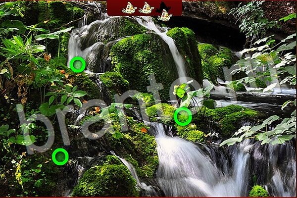 Птичий переполох игра ответы в одноклассниках Уровень 517