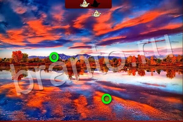 Одноклассники Птичий переполох ответы Уровень 518