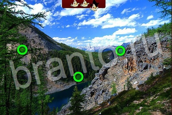 решебник на игру Птичий переполох Уровень 521