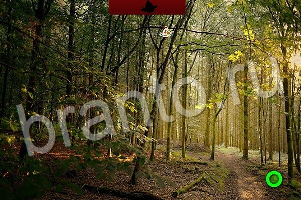 Птичий переполох игра ответы Уровень 523