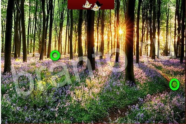 Птичий переполох игра подсказки Уровень 524