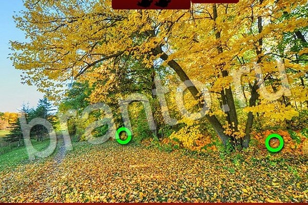 игра Птичий переполох одноклассники помощь Уровень 529