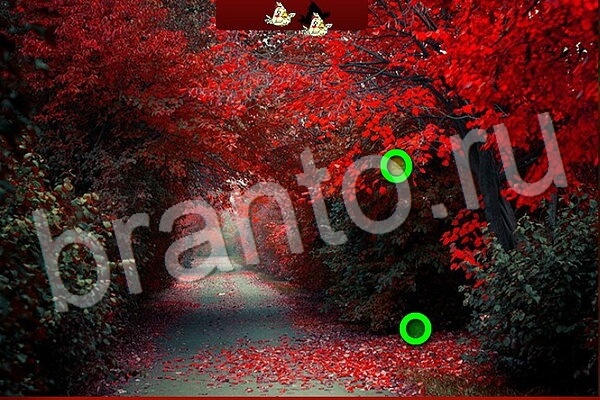 Птичий переполох ВК решения Уровень 532