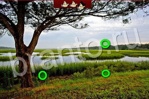 Птичий переполох игра в контакте ответы Уровень 533