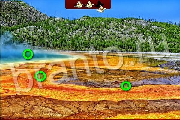 Птичий переполох игра в Одноклассниках помощь Уровень 535