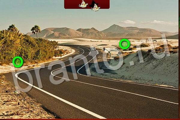 Птичий переполох ответы в картинках Уровень 536