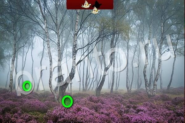 Игра Птичий переполох одноклассники ответы Уровень 537